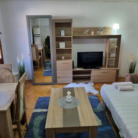 Family Apartmani Le Leskovac  Habitación foto